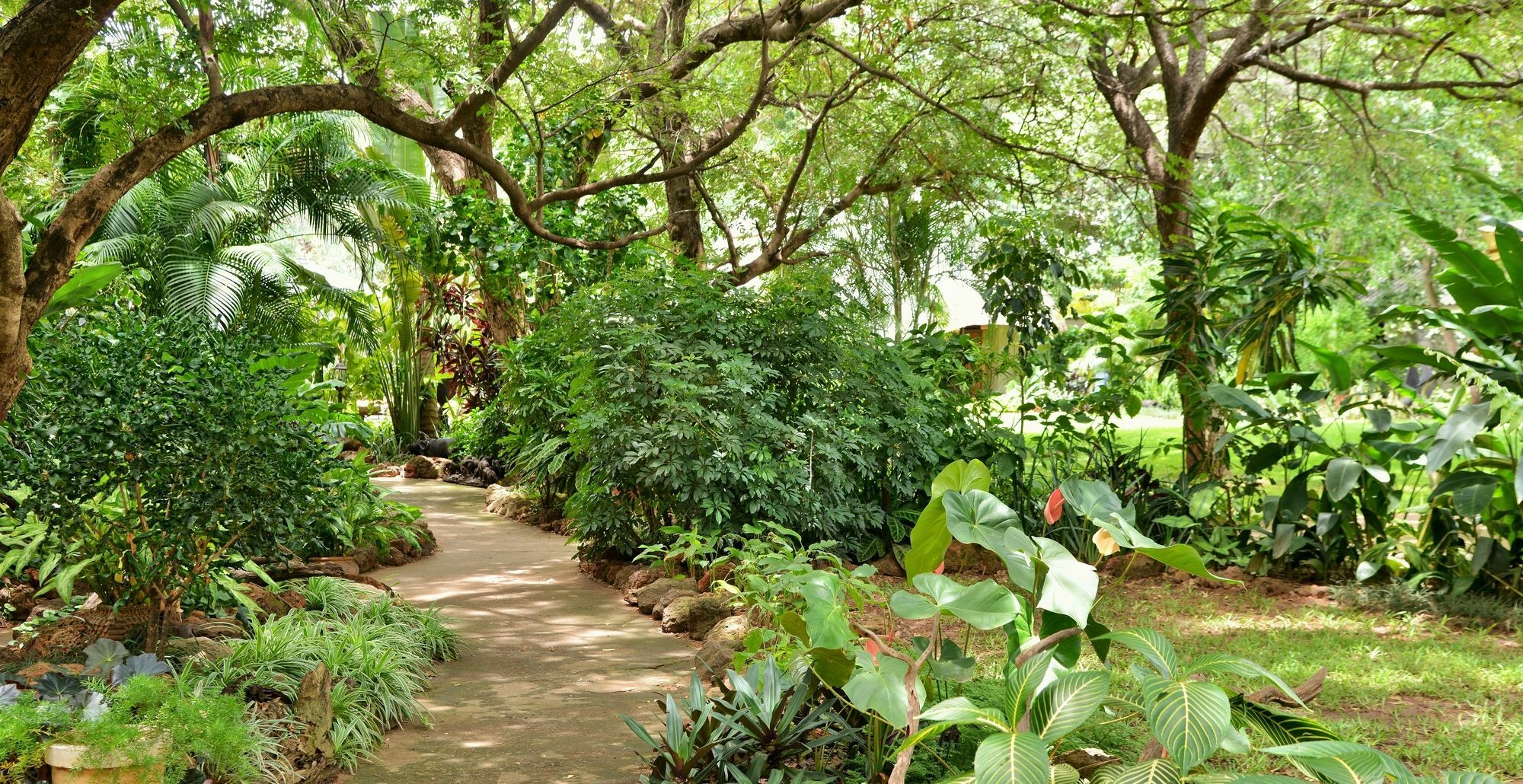 מפלי ויקטוריה Bayete Guest Lodge מראה חיצוני תמונה